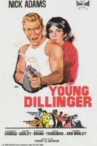 Молодой Диллинджер (1965)