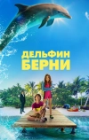 Дельфин Берни (2018)