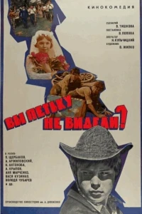 Вы Петьку не видели? (1975)