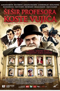 Шляпа профессора Вуйича (2012)