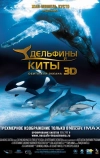 Дельфины и киты 3D (2008)