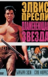 Пламенеющая звезда (1960)