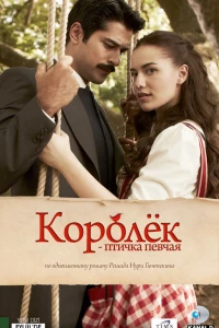 Королёк — птичка певчая (2013)