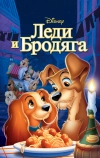 Леди и бродяга (1955)