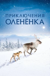 Приключения олененка (2018)