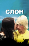 Слон (2003)