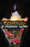 Однажды в стране чудес (2013)