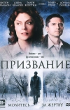 Призвание (2013)