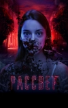 Рассвет (2019)