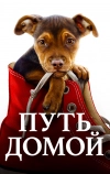 Путь домой (2019)