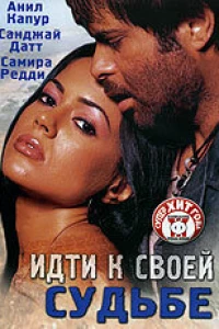 Идти к своей судьбе (2004)