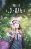 Лунолет «Сурикат» (2017)