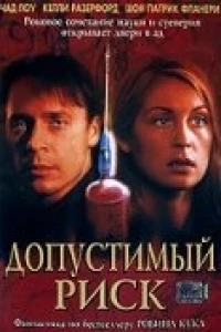 Допустимый риск (2001)