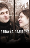 Собака Павлова (2005)