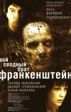 Мой сводный брат Франкенштейн (2004)