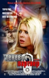 Теневой партнер (2004)