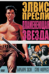 Пламенеющая звезда (1960)