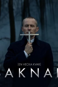 Пропавшая (2017)