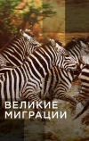 Великие миграции (2010)