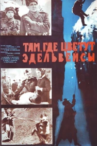 Там, где цветут эдельвейсы (1965)