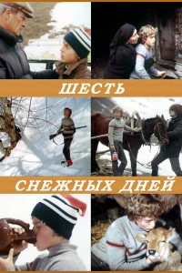 Шесть снежных дней (1986)