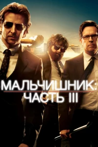 Мальчишник: Часть III (2013)