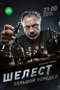 Шелест. Большой передел (2017)