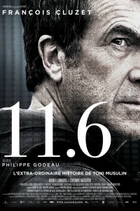 11.6 (2013)