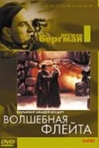 Волшебная флейта (1975)