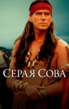 Серая сова (1998)