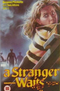 Незнакомец ждёт (1987)