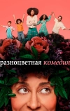 Разноцветная комедия (2019)