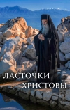 Ласточки Христовы (2021)