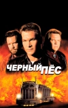 Черный пес (1998)