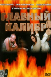 Главный калибр (2006)