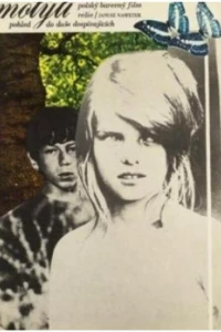 Бабочка (1972)