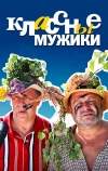 Классные мужики (2010)