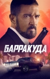 Барракуда (2022)