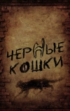 Черные кошки (2013)